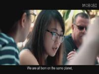 �������ޱ� ������VS������ 20250805