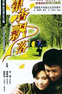 ����Ʈ��