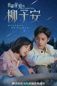 �����װ������谲